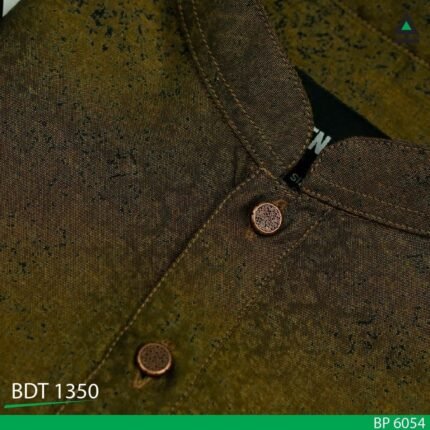 Classic Panjabi - P 6054